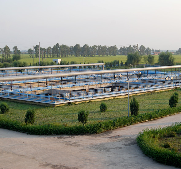 env05 pg国际-不凡成就非凡,相信品牌的力量