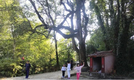 1116h pg国际-不凡成就非凡,相信品牌的力量